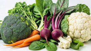 Жиросжигающие продукты