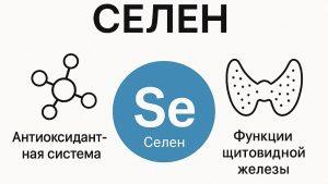 Дефицит селена симптомы, причины и как восполнить нехватку