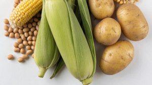 ГМО в продуктах питания