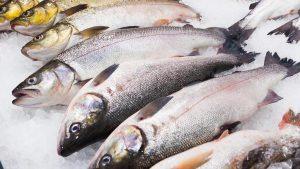 Польза и вред рыбы для человека