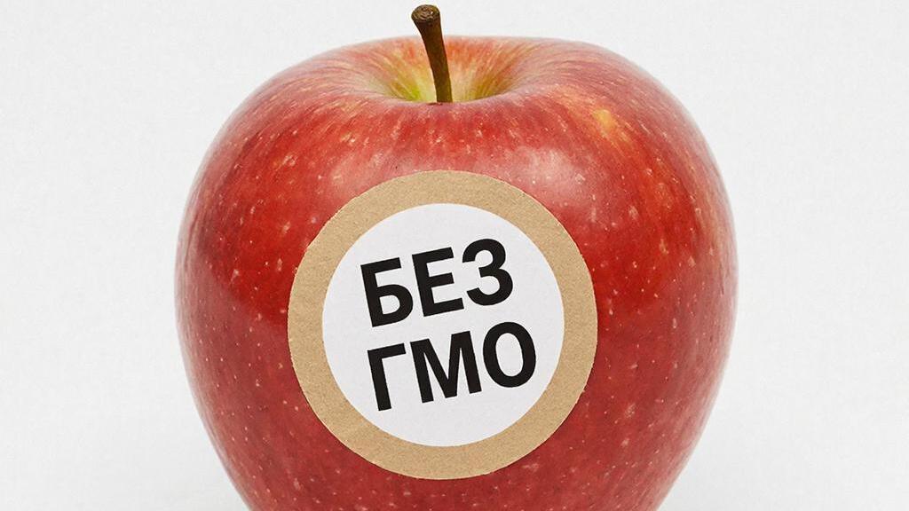Рекомендации по выбору продуктов без ГМО