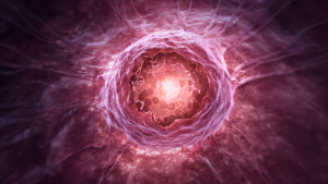 Киста яичника: причины, симптомы и лечение.