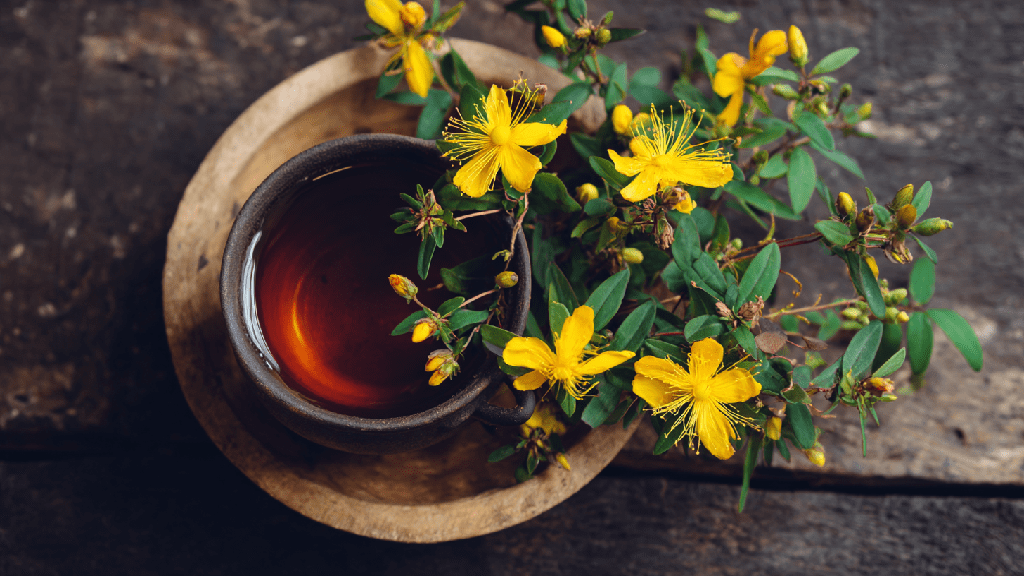 Как правильно заваривать и пить зверобой. Зверобой: полезные свойства, применение и противопоказания
