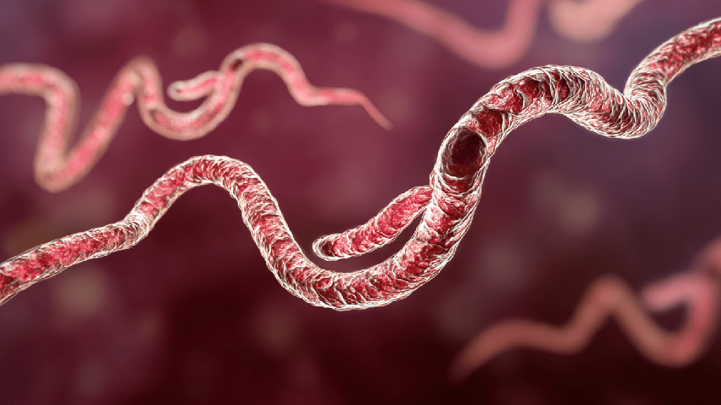 Какие анализы нужны для гастроэнтеролога: список и рекомендации. Анализы на гельминты, паразитов и скрытую кровь.