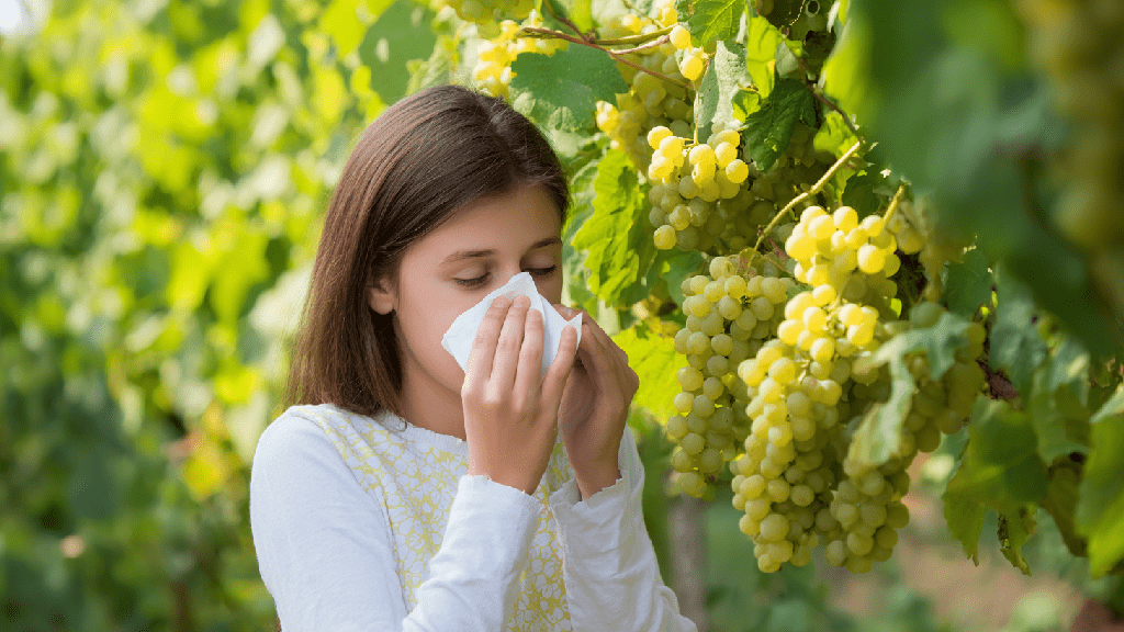 Заболевания, при которых виноград противопоказан. Кому нельзя есть виноград: противопоказания и ограничения