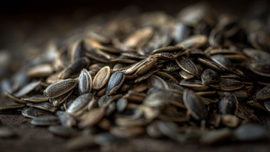 Семечки: польза и вред для организма.