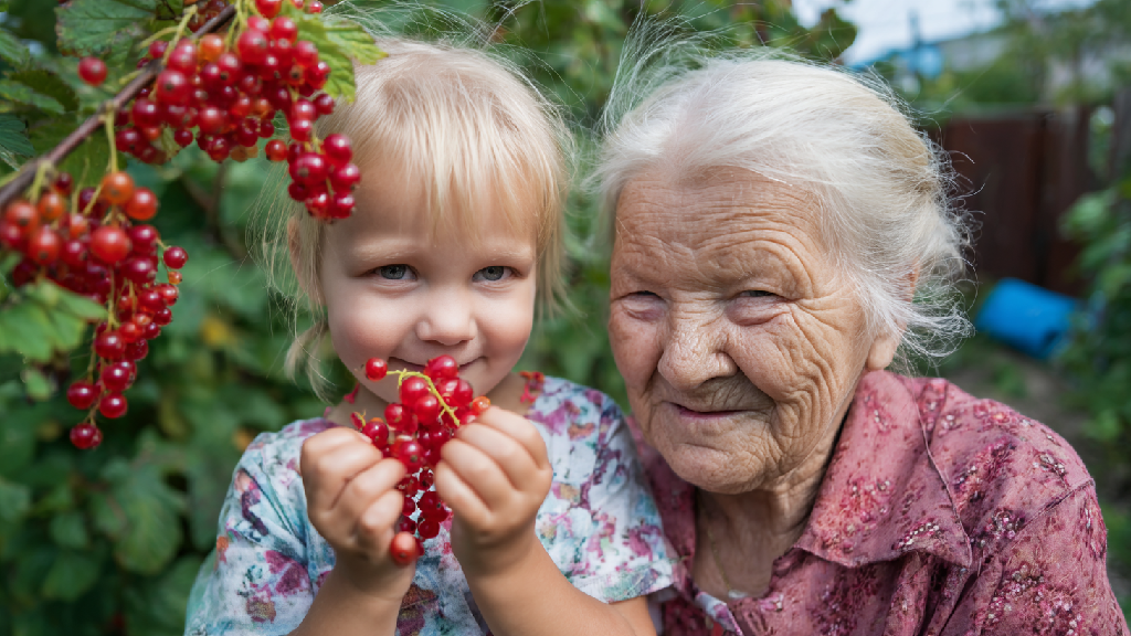 Влияние красной смородины на иммунитет и пищеварение. Красная смородина: польза и вред для здоровья человека