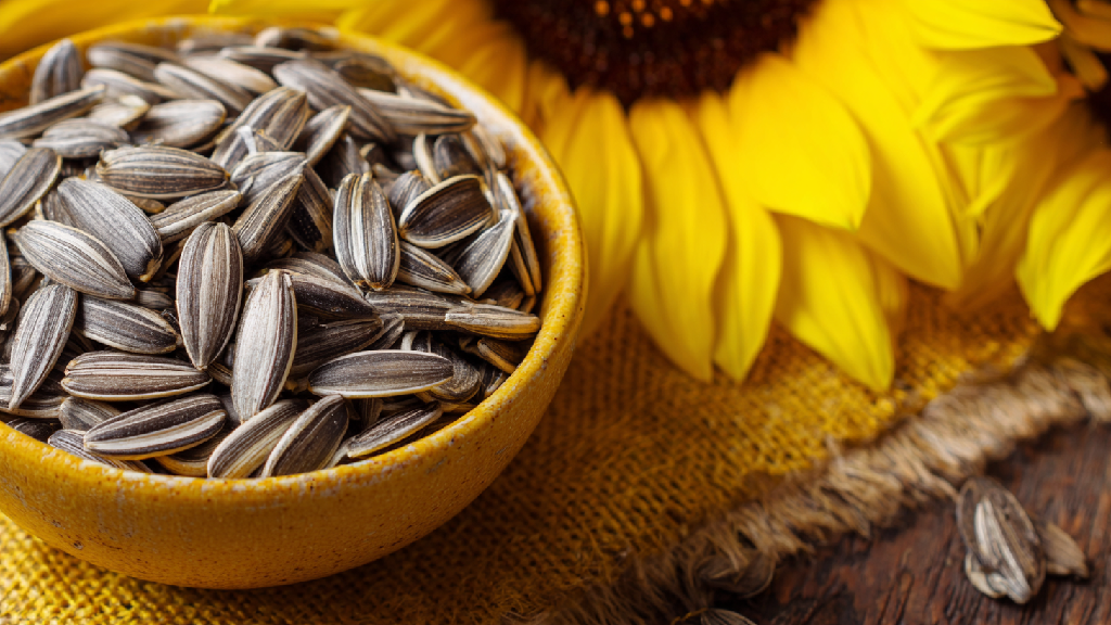 Семечки: польза и вред для организма
