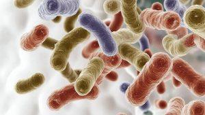 Пробиотики в продуктах питания