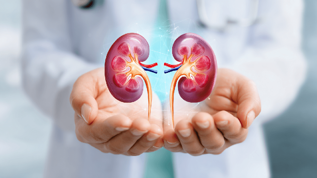 Причины хронического пиелонефрита
