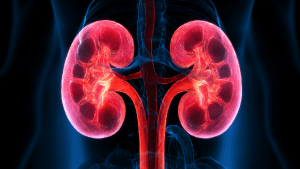 Диета при нефроптозе