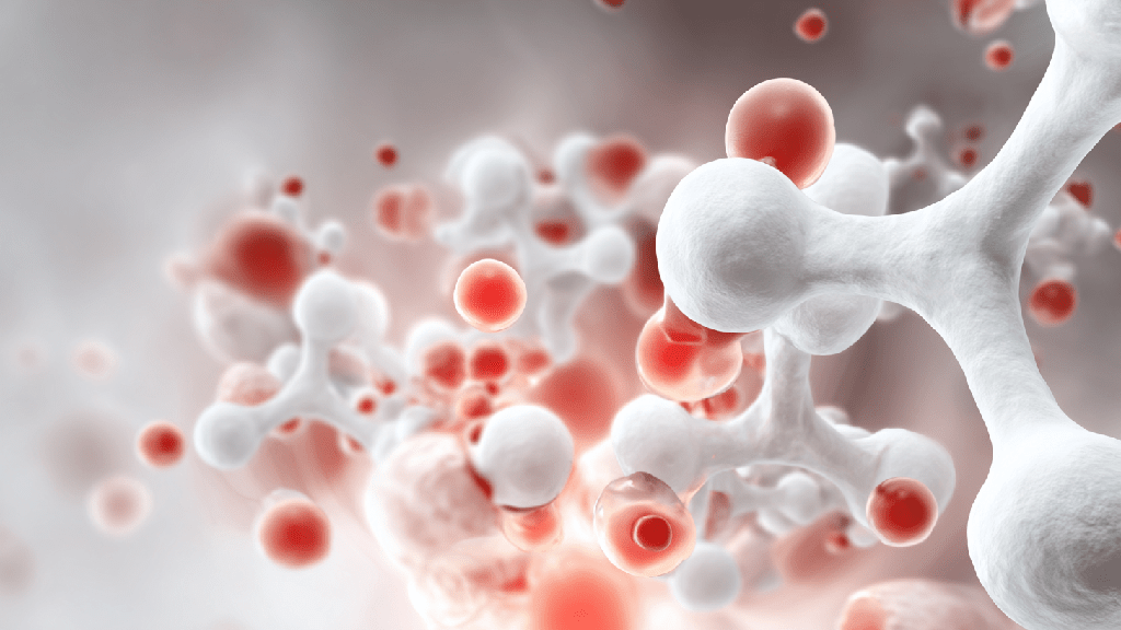 Кальций в организме человека: роль, функции и содержание
