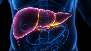 Диета при билиарном сладже в желчном пузыре