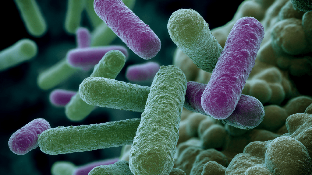 Диета для восстановления микрофлоры кишечника