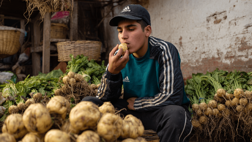 Репа: польза и вред для здоровья человека
