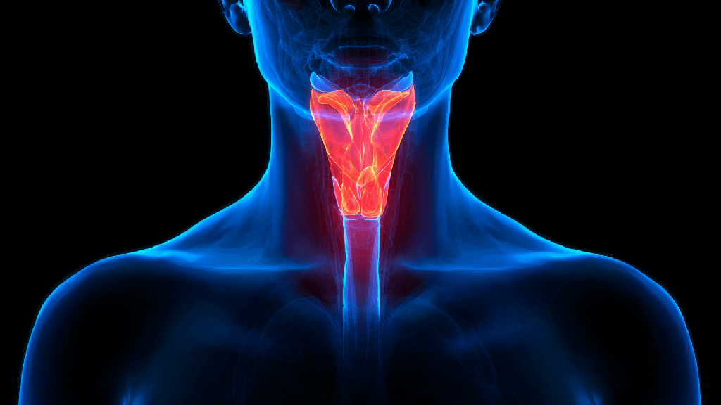 Болезни щитовидной железы: симптомы, причины и лечение
