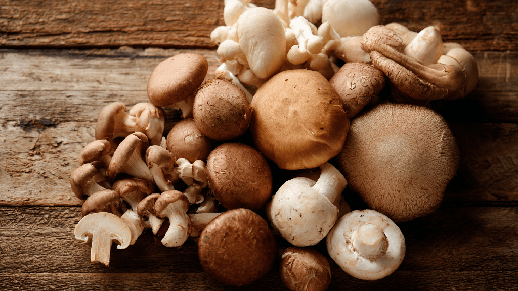 Кому нельзя есть грибы