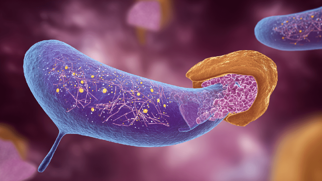 Ферментная недостаточность поджелудочной железы
