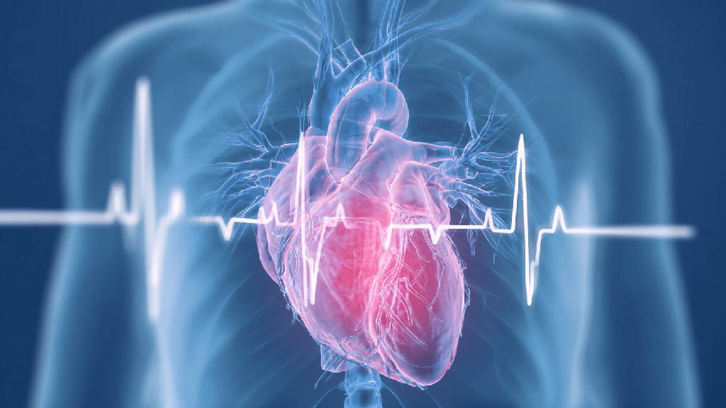 
Диета при тахикардии сердца
