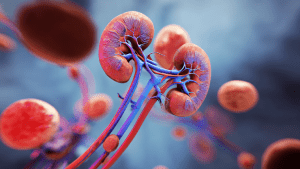 Диета при хронической почечной недостаточности