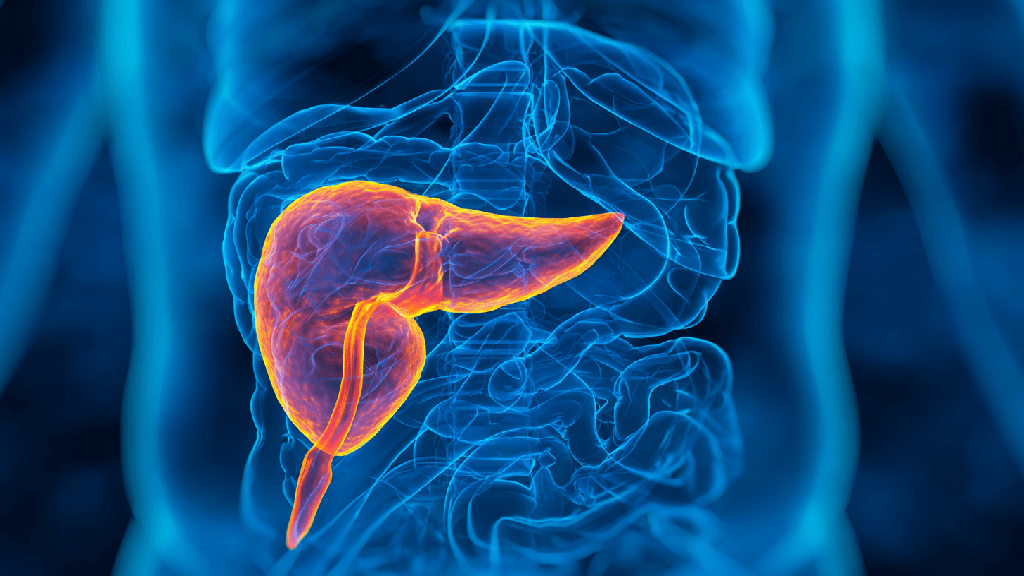 Панкреатит: что это такое простыми словами
