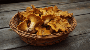 Маслята польза, вред