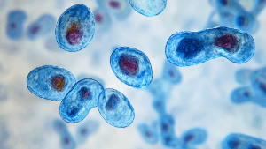 Ахлоргидрия