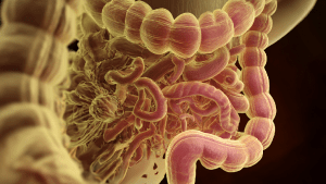 Диета при дивертикулезе кишечника