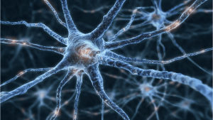 Как магний влияет на нервную систему