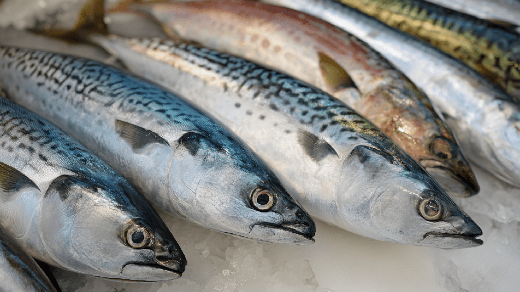 Какая рыба полезна для детей и почему ее стоит включать в рацион
