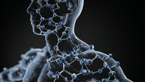 Молибден в организме человека