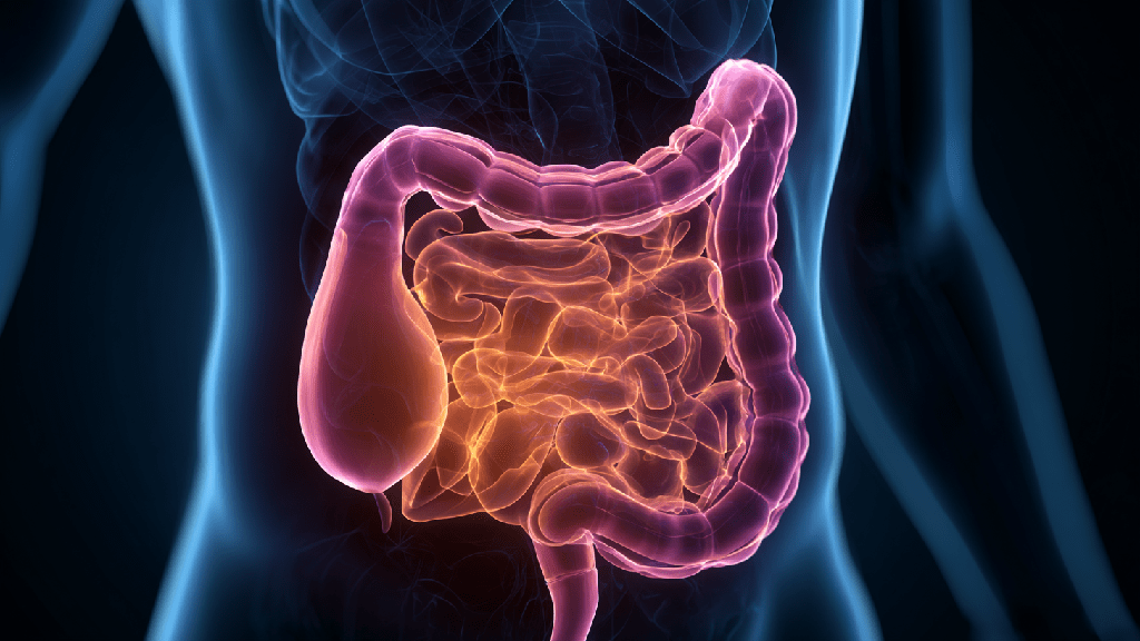 Атрофия слизистой желудка
