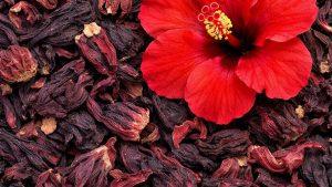 Чай каркаде польза, вред и особенности применения
