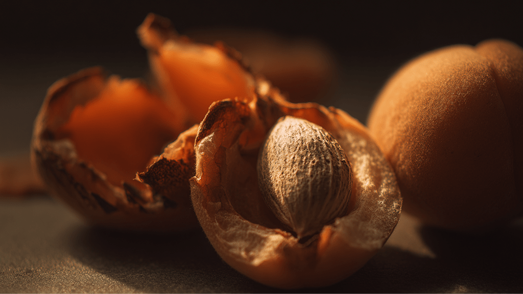 Отравление абрикосовыми косточками: признаки и последствия Вред абрикосовых косточек и симптомы отравления