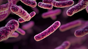 Дефицит лактобактерий