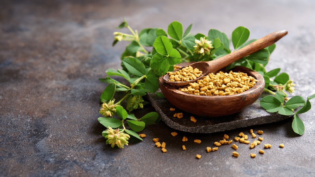 Пажитник польза и вред
