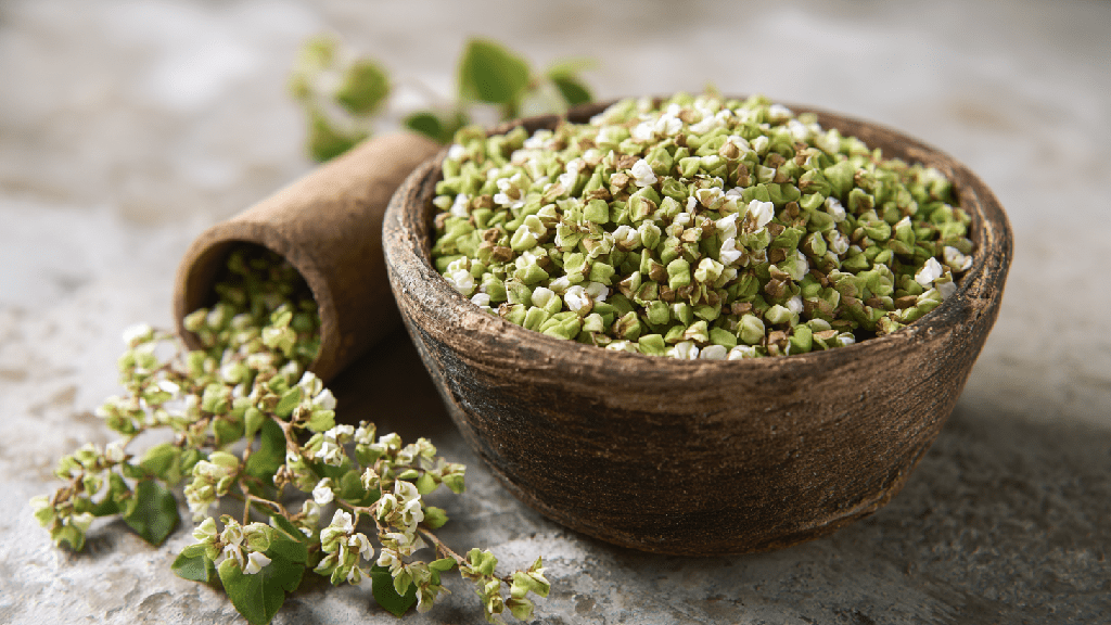 Зеленая гречка польза и вред