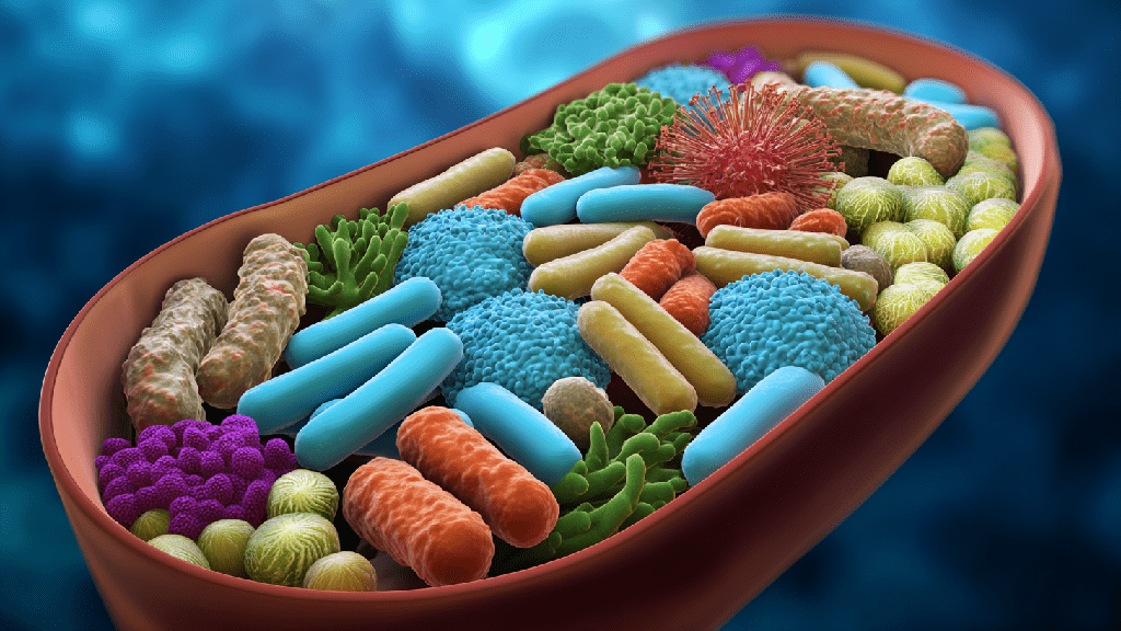 Дисбиоз кишечника
