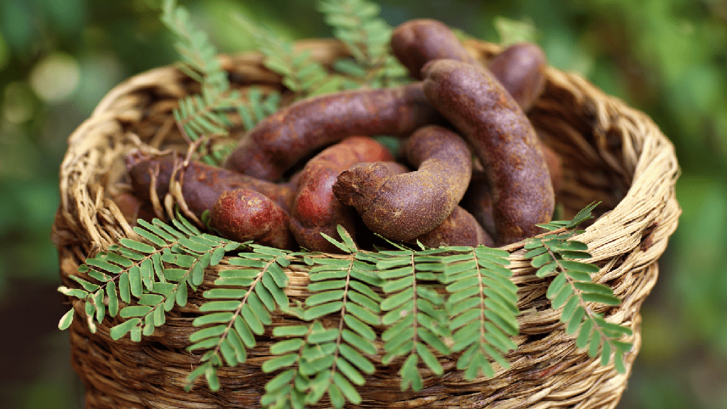 Тамаринд польза и вред
