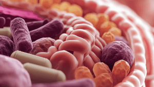 Брожение в кишечнике