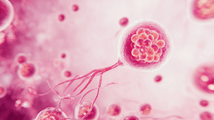 Бактериальный вагиноз