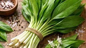 Черемша польза и вред