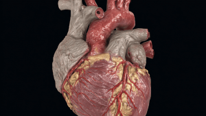 Перикардит