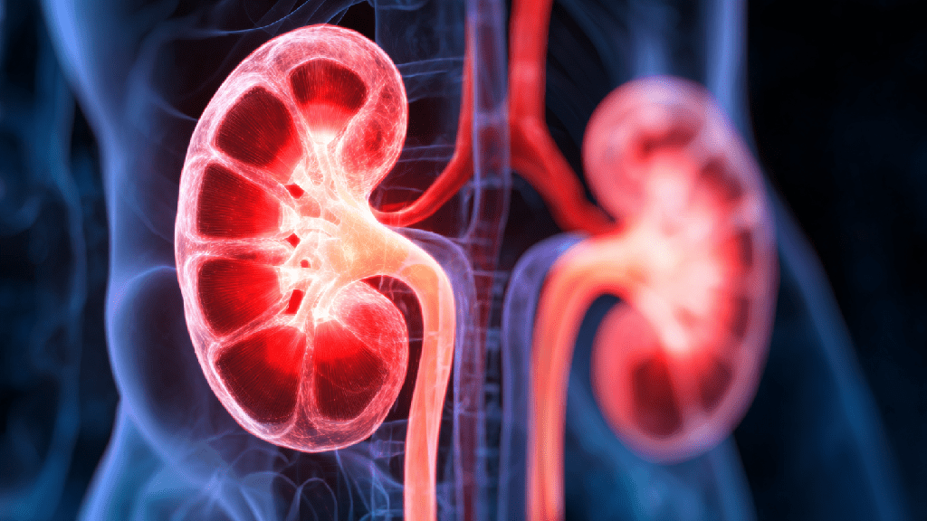 Почечная колика