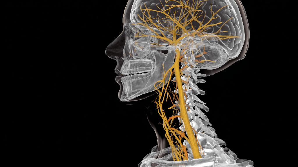 Вертебробазилярная недостаточность