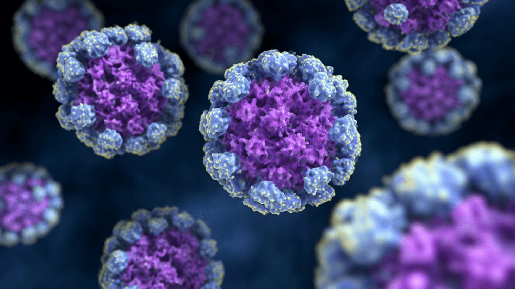 Цитомегаловирус
