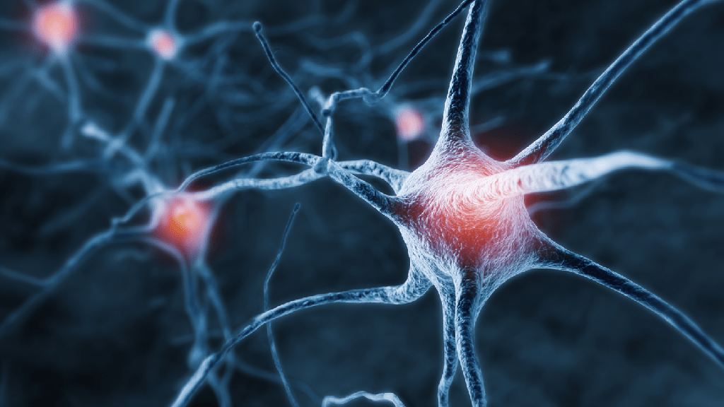 Диабетическая нейропатия 