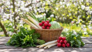 Сезонное питание: что есть весной, летом, осенью и зимой. Влияние сезона на нутриентную плотность пищи