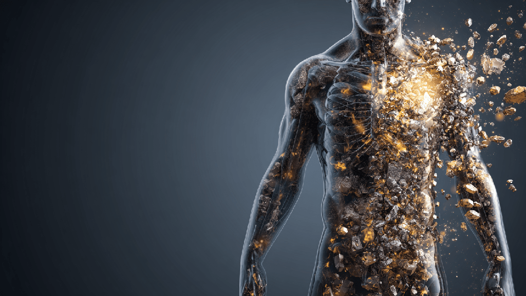 Тяжелые металлы в организме человека