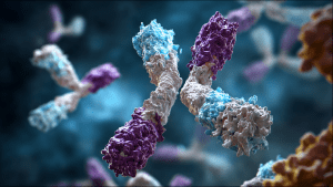 Повышенный иммуноглобулин